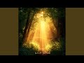 The Lost Woods Super Slowed 