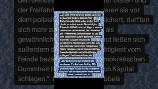 Wird die AfD die Demokratie wie die NSDAP abschaffen? #afdverbot #geschichte #zitatezumnachdenken