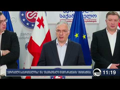 \"ევროპული საქართველოსა\" და \"თავისუფალი დემოკრატების\" ინიციატივა