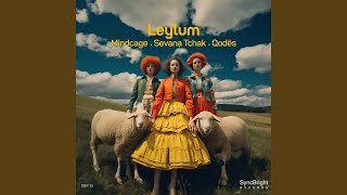 Download Lagu Leylum (Radio Edit) MP3