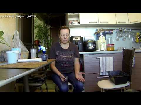Video: Možete Li Smršavjeti Bez Strogih Ograničenja U Prehrani?