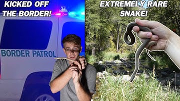 Kicked Off the Border and Finding Arizona’s RAREST Snake!?!