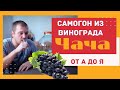 Делаю Ароматный Самогон из винограда (ЧАЧА) от А до Я.+ секретный ингредиент