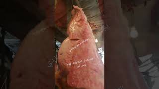 #اكسبلور دمار الدمار علي اسعار اللحوم البلدى عند مؤسسة زينهم في سوق المعمورة