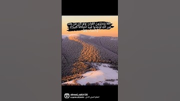 سورة النساء #قران_كريم #قرآن #تلاوة_هادئة #تلاوة_خاشعة #تلاوات_خاشعة #سورة_النساء