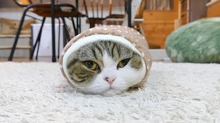 袖まる。-Sleeve Maru.- 袖まる。-Sleeve Maru.-