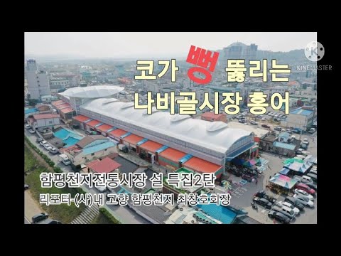 2021 설 특집 2탄 - 코가 뻥 뚫리는 나비골 시장 홍어