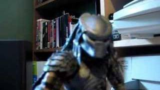 Predator Test