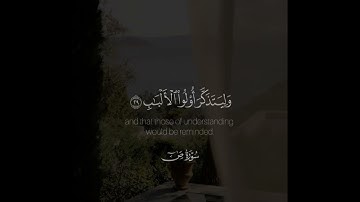 ﴿كتاب أنزلناه إليك مبارك ليدبروا آياته وليتذكر أولو الألباب﴾ | القارئ: راشد الحليبة