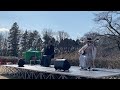神代植物公園「梅まつり」コンサート、ダイジェスト版