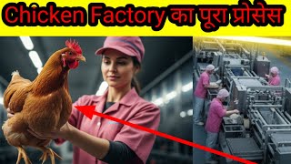 “Chicken Farming to Processing Plant – पूरा सफ़र अंडे से पैकिंग तक | Full Factory Documentary Hindi”