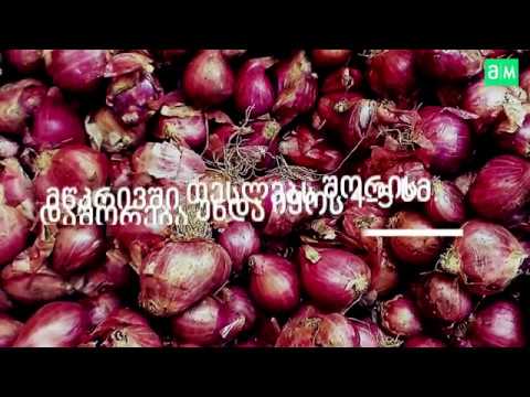 რა უნდა გავითვალისწინოთ  ხახვის დათესვის შემდეგ