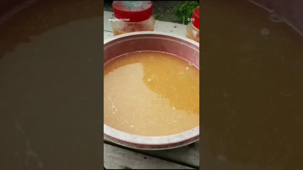 Stop throwing food away. Start earning points instead.