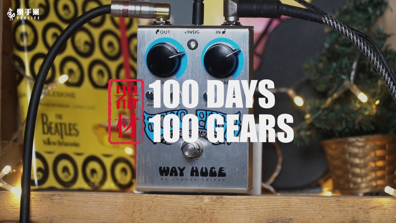 Way Huge Echo-Puss Analog Delay || 100 Days 100 Gears