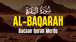 Surah Al Baqarah Dengan Suara Indah Membuat Hati Tenang