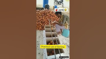 🌟Real life uses of SORTING Algorithm 😂 || coding memes|| #shorts #coding