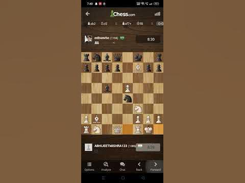 Северный гамбит шахматы