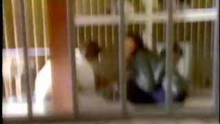 1995 ASPCA Commercial