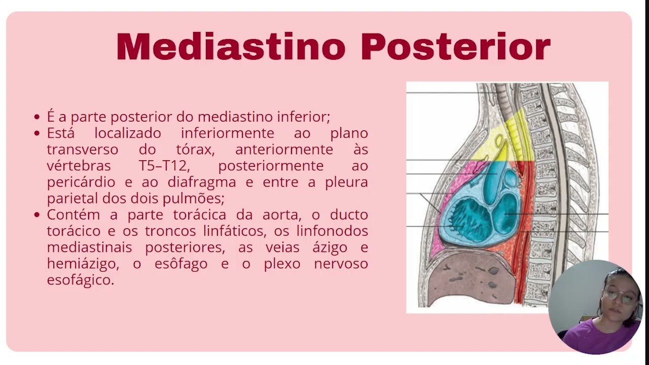 Anatomia Cardíaca : Parte 02