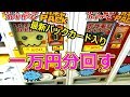 ポケカ　ガチャ1万円分、ぶん回した結果が！？　ポケットモンスターサン＆ムーン