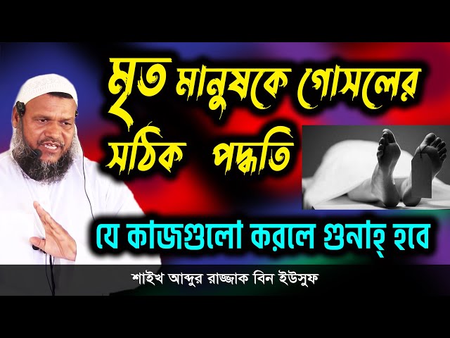 Yetuk mushukdagi yosh xoroz Yetuk mushukdagi yosh xoroz