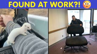 Strange Workplace Finds Shared Online 😂 | Happy And Fun