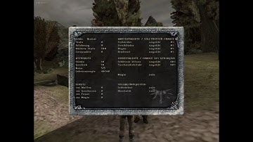 Gothic 1 - Maximum Experience Playthrough (fail)