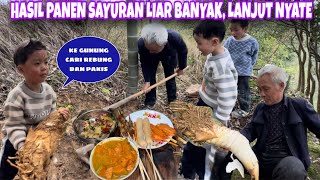 KE GUNUNG PEDESAAN CHINA PANEN PAKIS LIAR DAN REBUNG, LANJUT PANGGANG SATE SATEAN 