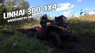 Linhai 300 4x4 | Backcountry mud hole