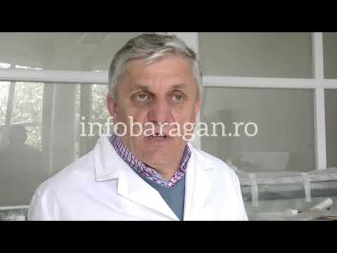 Video: Cum îmi păstrez planta de busuioc dulce sănătoasă?