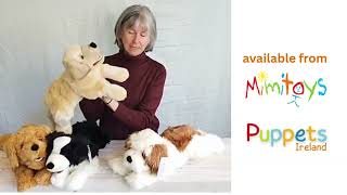 Dog Hand Puppets by The Puppet Company | Labrador, Cockapoo, Border Collie and More