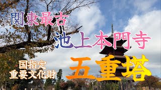 4K動画Five-Storied Pagoda-In In Tokyo関東最古池上本門寺の五重塔2023.12.03江戸に残る五重塔は三つ日蓮聖人入滅の多宝塔もインスタ映えて見逃せない