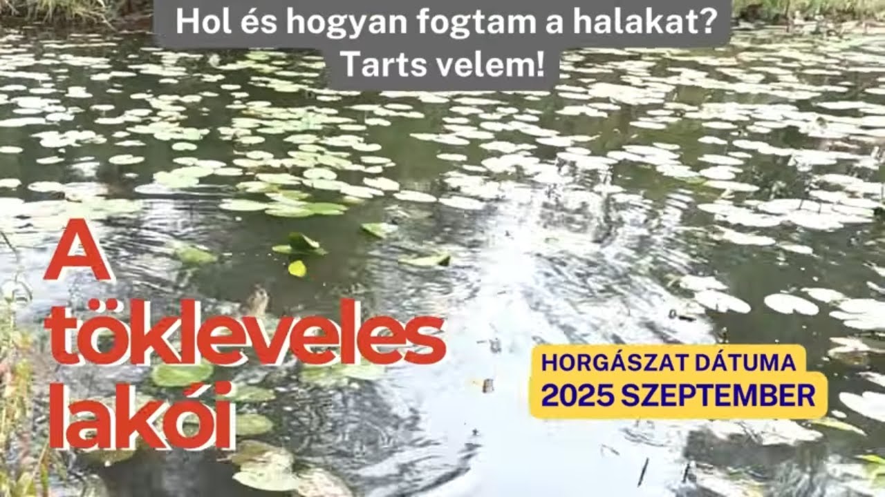 A kimaradt TITKOK– Úszós pontyhorgászat csatornán