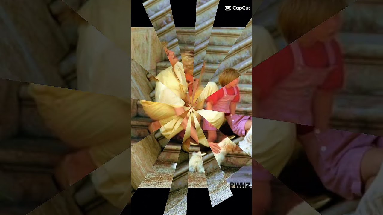 lady Diana beautiful smile 