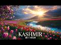 TV Relaxing Nature 1 Hour | 4K Ambient Sounds &amp; Beautiful Scenery for Sleep, Focus &amp; Calm Mind