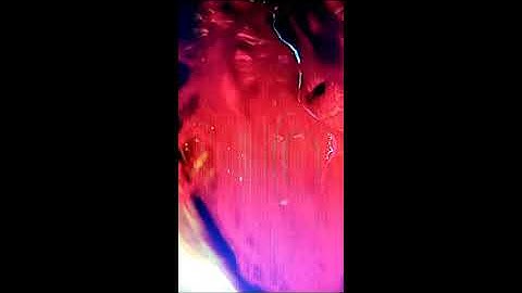 DSI OB 6 Elektron Digitone and Digitakt  Synth Demo Song