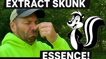 Skunk Essence Tutorial — How to extract Raw Scent into Effective Lure