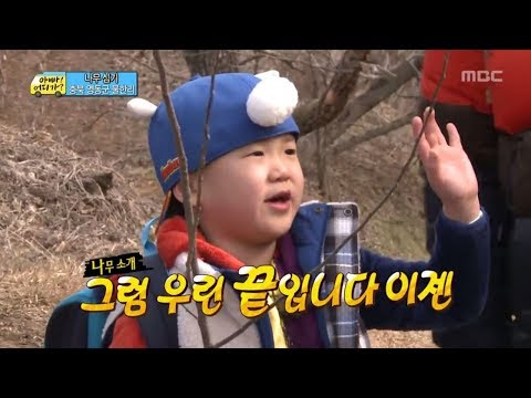 [아빠! 어디가?] 각자 준비해 온 나무 소개, 준수네 나무는 휴게소에서?, 일밤 20130331