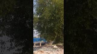 Chilla Mahamaya 6 Lane Elevated Road Project | Work Update Mayur Vihar To Noida #thealltypevlogs11