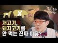 왜 개고기와 돼지고기가 금기로 여겨지는가?? 🐷🐶