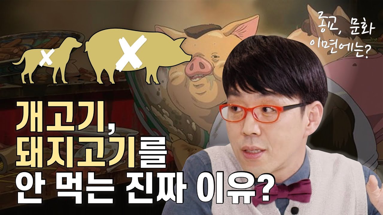 SK브로드밴드 이동진의 파이아키아
