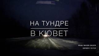 Тундра в кювете