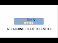 SkyDoc Portal Attaching Files to Entity
