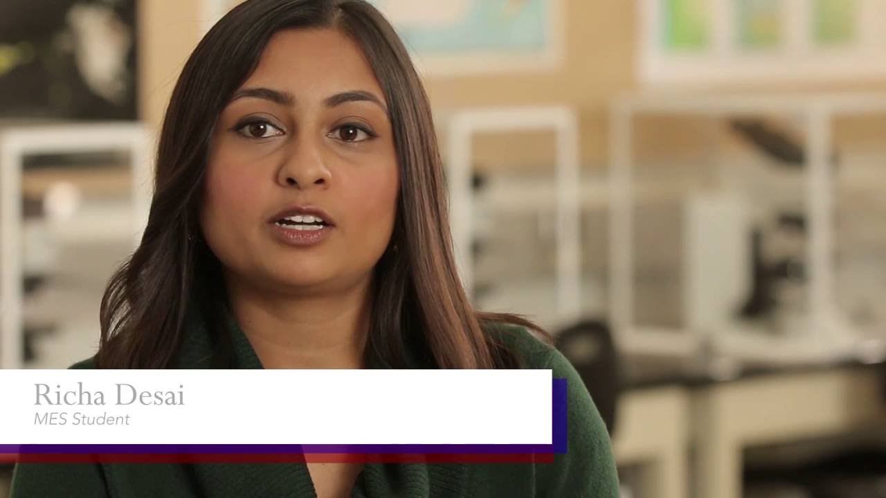 Penn's Master of Environmental Studies: Why I Chose Penn