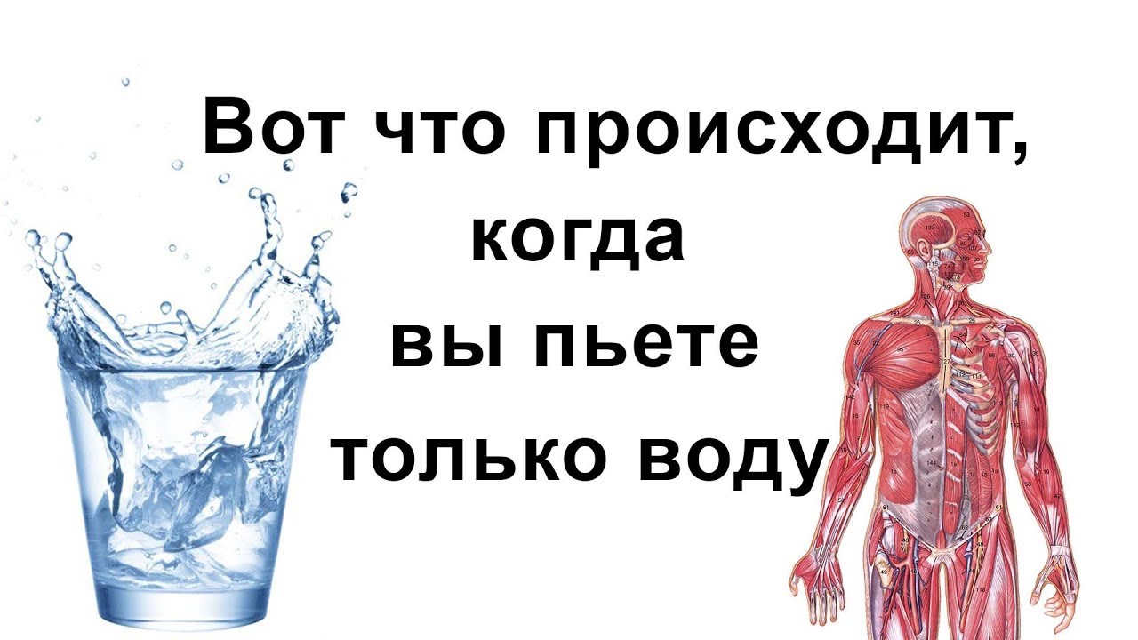Месяц пила только воду. Пить много воды. Что если пить только воду. Что если пить только воду неделю. Если пить только воду месяц.
