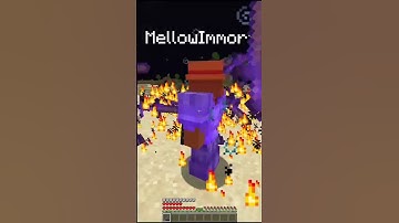 Here’s how to use the Elder Branch on #minewind - IP:TikTok.Minewind.com #minecraftserver #minecraft