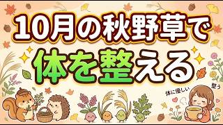 【大人のヴィンテージハーブ】数字計算の純度を引き算せよ！土の匂いと苦味（自然の雑味）で身体を芯からポカポカにする秘訣