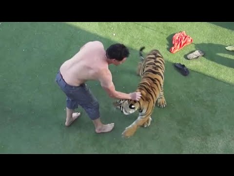 醉酒男子跑进动物园，跳进老虎领地挑衅，镜头拍下全过程【小羽侃世界】
