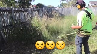 3 Days To Finish This Property | Overgrown Hedge and Lawn #satisfyingvideo