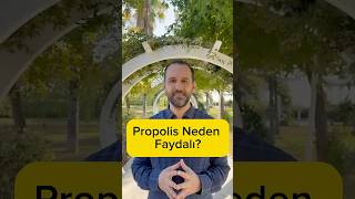 Propolis Neden Faydalı?